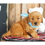 Cabela - Image 7